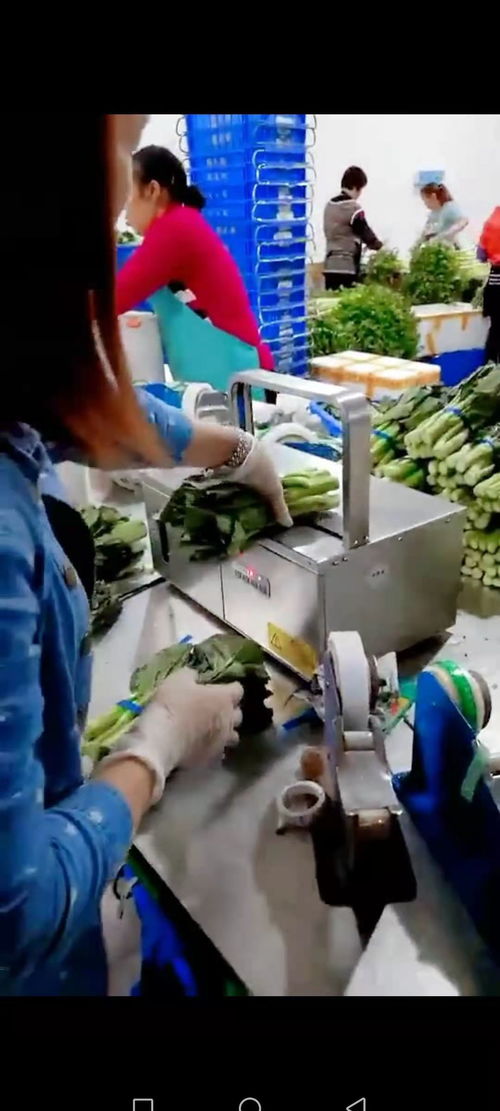 智能設(shè)備賦能工廠，銷量翻番的幕后故事